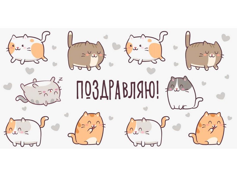 Конверт для денег 'Поздравляю!', коты на белом, артикул 1-04-0411