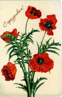 Открытка 'Маки'