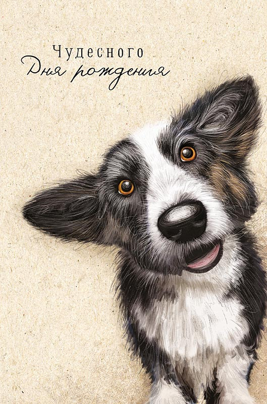 Открытка 'Чудесного Дня Рождения', артикул 0167.254