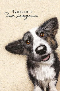 Открытка 'Чудесного Дня Рождения', артикул 0167.254
