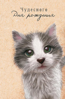 Открытка 'Чудесного Дня Рождения', артикул 0167.256