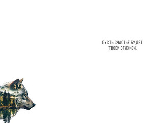 Открытка 'Волк', артикул 0573.098 2