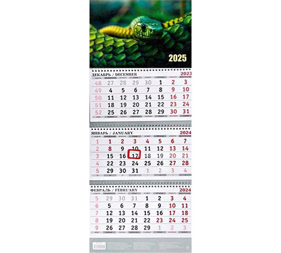 Календарь на 2025 год 'Символ года' квартальный, 3 спирали, с бегунком