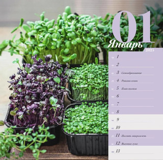 Календарь огородника с народными приметами на 2025 год 3