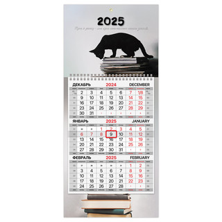 Календарь 2025 квартальный 'Smart cat' 1 блок, Brauberg 1