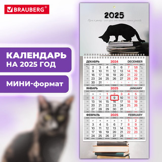 Календарь 2025 квартальный 'Smart cat' 1 блок, Brauberg 3
