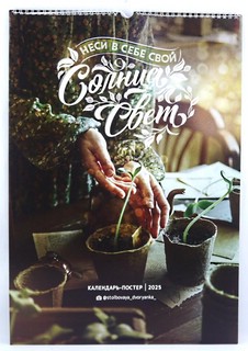 Календарь 2025 'Неси в себе свой Солнца свет' настенный, на пружине 2