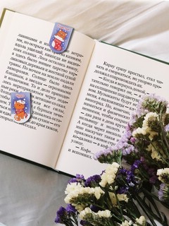 Закладки для книг 'Новый год к тебе придет' 6 шт, магнитные 4