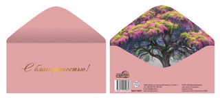 Конверт для денег 'С благодарностью'