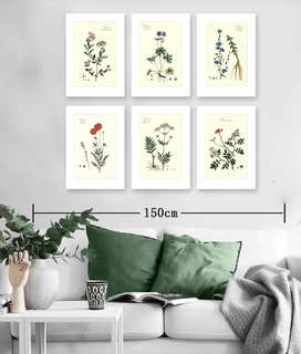 Постер 'Цикорий обыкновенный' А4, с паспарту №12 2