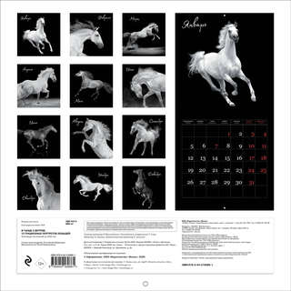 Календарь на 2026 г 'В танце с ветром: 12 грациозных портретов лошадей' настенный перекидной, 30х30 см 2