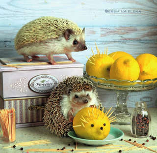 Календарь на 2026 г 'Ёжекалендарь: Сладкие прянички' настенный перекидной, 17х17 см 4