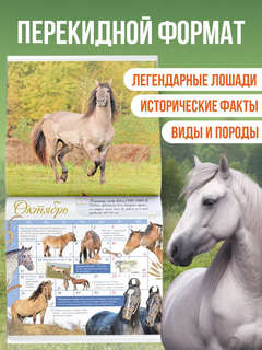 Календарь на 2026 'Лошади мира' настенный, 30х30 см 3