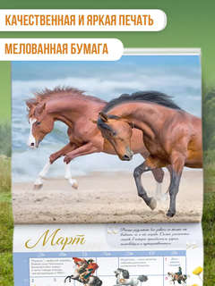 Календарь на 2026 'Лошади мира' настенный, 30х30 см 4