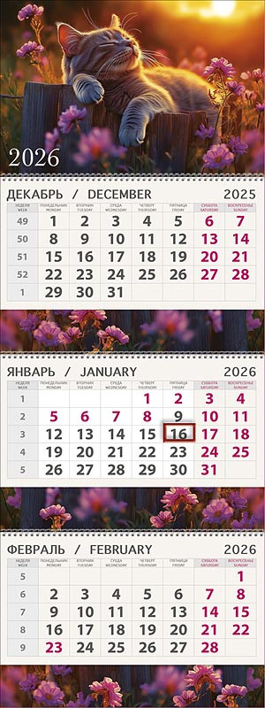 Календарь на 2026 'Рыжие мечты' квартальный трехблочный