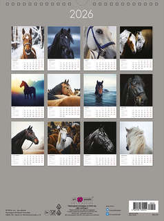 Календарь на 2026 'Дух свободы' А3, настенный, перекидной 2