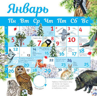 Календарь живой природы с голосами животных, на 2026 год, 30х30 см 4