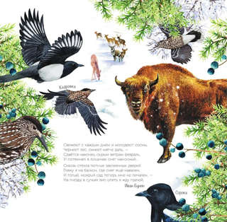 Календарь живой природы с голосами животных, на 2026 год, 30х30 см 5