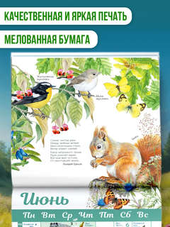 Календарь живой природы с голосами животных, на 2026 год, 30х30 см 3