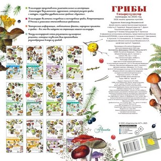 Календарь на 2026 г 'Грибы' настенный перекидной, 30х30 см 2