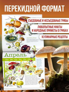 Календарь на 2026 г 'Грибы' настенный перекидной, 30х30 см 5