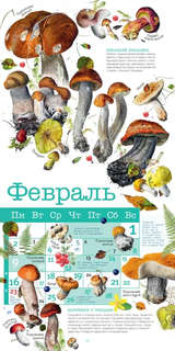 Календарь на 2026 г 'Грибы' настенный перекидной, 30х30 см 8