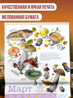 Календарь на 2026 г 'Грибы' настенный перекидной, 30х30 см 6