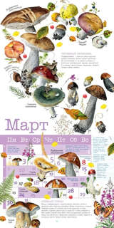 Календарь на 2026 г 'Грибы' настенный перекидной, 30х30 см 9