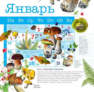 Календарь на 2026 г 'Грибы' настенный перекидной, 30х30 см 3