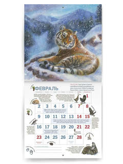 Календарь родной природы, настенный, перекидной календарь на 2026 год 2