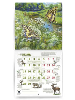 Календарь родной природы, настенный, перекидной календарь на 2026 год 3