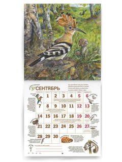 Календарь родной природы, настенный, перекидной календарь на 2026 год 4