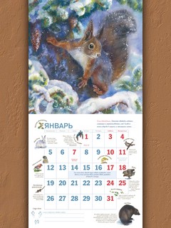 Календарь родной природы, настенный, перекидной календарь на 2026 год 5