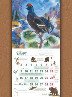 Календарь родной природы, настенный, перекидной календарь на 2026 год 6