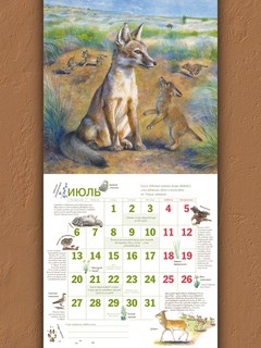 Календарь родной природы, настенный, перекидной календарь на 2026 год 7