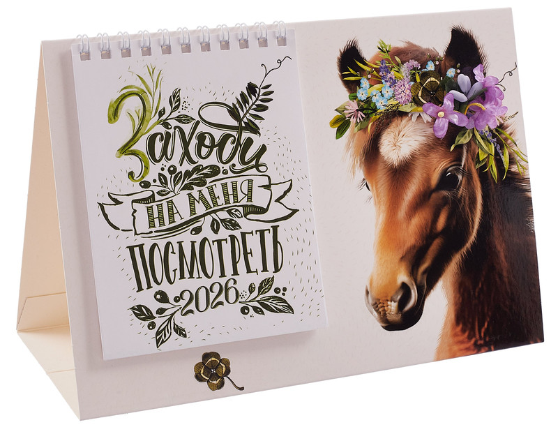 Календарь-домик на 2026 г 'Заходи на меня посмотреть' 21х15 см
