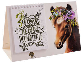 Календарь-домик на 2026 г 'Заходи на меня посмотреть' 21х15 см