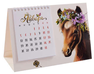 Календарь-домик на 2026 г 'Заходи на меня посмотреть' 21х15 см 3