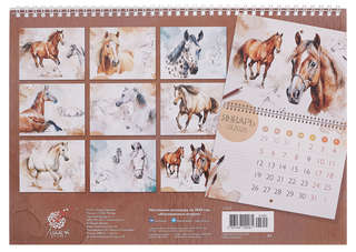 Календарь на 2026 г 'Наполненные ветром' настенный перекидной, 34х24 см 3