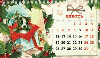 Календарь на 2026 'Собакины' настольный, Даринчи 3