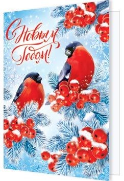 Открытка-подвеска 'С Новым Годом!' (снегири)