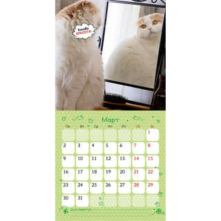 Календарь-органайзер на 2026 г 'Котоворот событий' настенный, 30х30 см 5