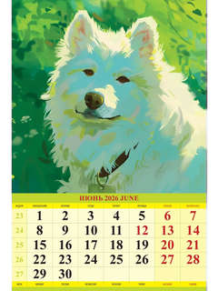 Календарь на 2026 'Портрет друга' настенный, 32х48 см 8