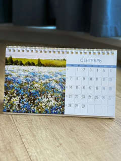 Календарь-домик на 2026 г 'Красота родной природы', настольный, 21х12 см 12