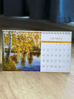 Календарь-домик на 2026 г 'Красота родной природы', настольный, 21х12 см 13