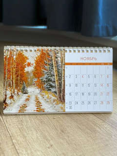 Календарь-домик на 2026 г 'Красота родной природы', настольный, 21х12 см 14