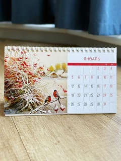 Календарь-домик на 2026 г 'Красота родной природы', настольный, 21х12 см 4