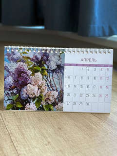 Календарь-домик на 2026 г 'Красота родной природы', настольный, 21х12 см 7