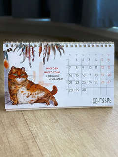 Календарь-домик на 2026 г 'Приношу счастье, создаю уют', настольный, 21х12 см 12