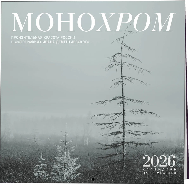 Календарь на 2026 г 'Монохром' настенный, на 16 месяцев, 30х30 см